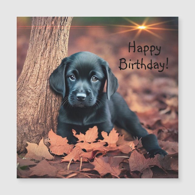 Black Lab Puppy Magnetic Birthday Card (Front)