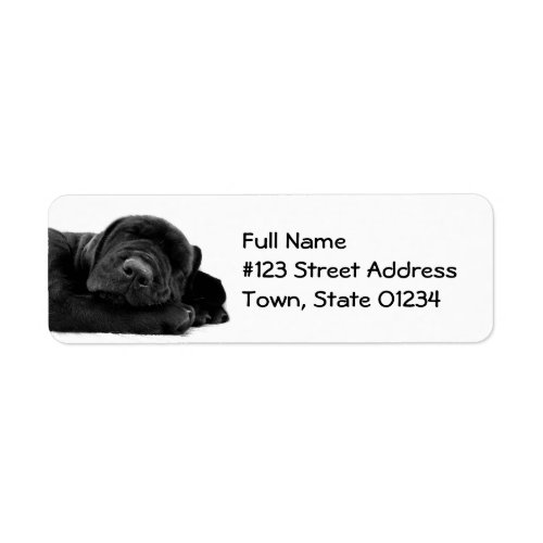 Black Lab Puppy Mailing Label