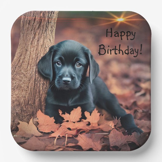 Black Lab Puppy Paper Plates (Front)