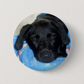 Black Lab Puppy Pinback Button