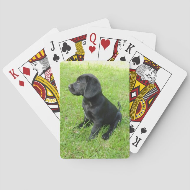 black lab puppy.png poker cards (Back)