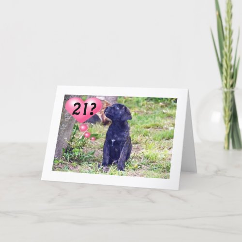 BLACK LAB PUPPY SAYS ENJOY 21st BIRTHDAY Card