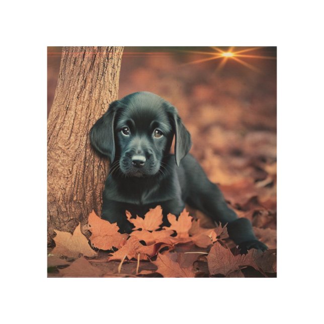 Black Lab Puppy Wood Wall Art (Front)