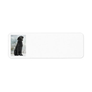 Black Lab Return Address Labels