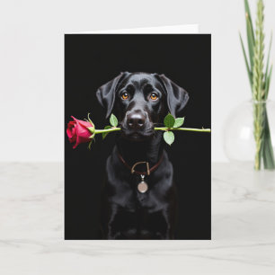 Black Lab Rose Valentine Card
