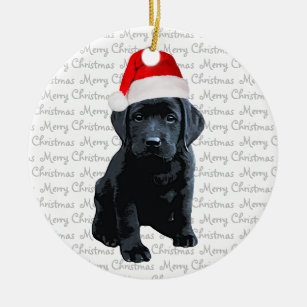 dog teething pain relief