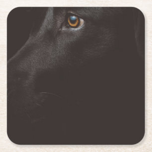 black lab square paper coaster