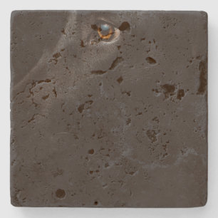 black lab stone coaster