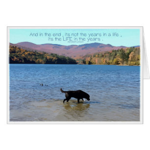 Black Lab Sympathy Card - Dog Sympathy - Pet Loss