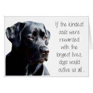 Black Lab Sympathy Card - Dog Sympathy - Pet Loss