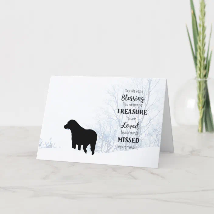 Black Lab Sympathy Card Dog Sympathy Pet Loss Zazzle Com