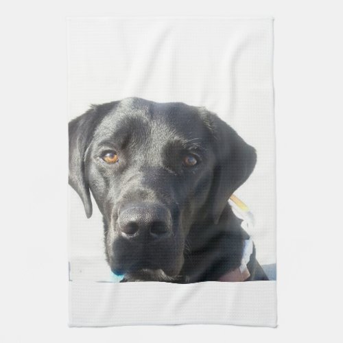 Black Lab Tea Towel