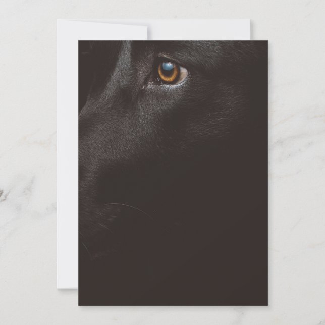 black lab thank you card (Front)