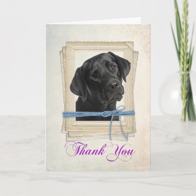 Black Lab Thank You Card (Front)