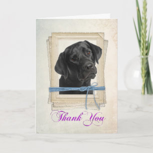 Black Lab Thank You Card