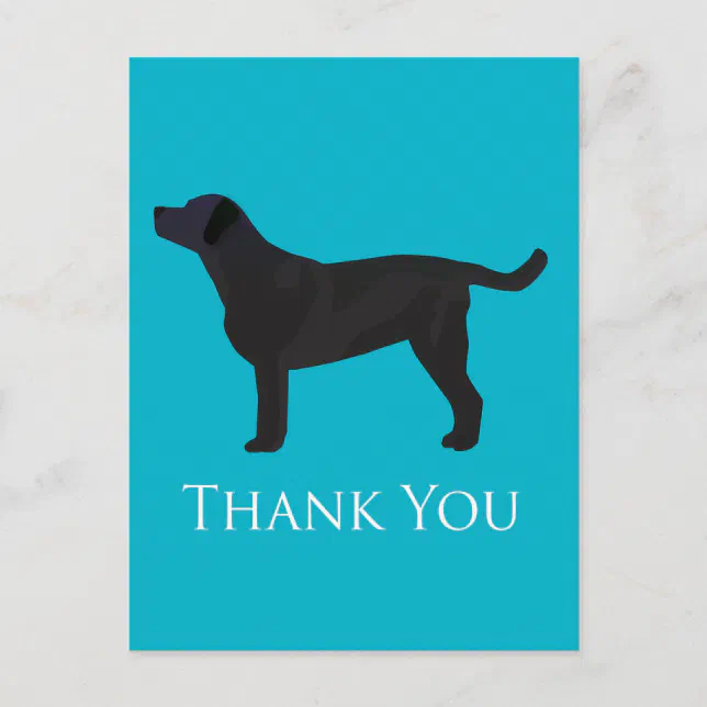 Black Lab Thank You Card Design Zazzle