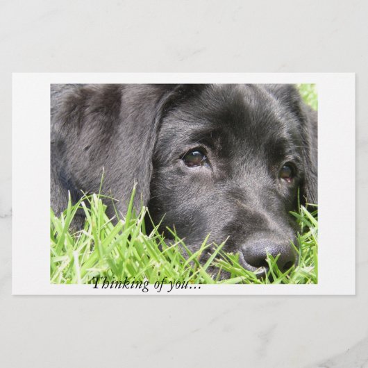 Black Lab Thinking of You (Front)