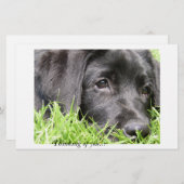 Black Lab Thinking of You (Front/Back)