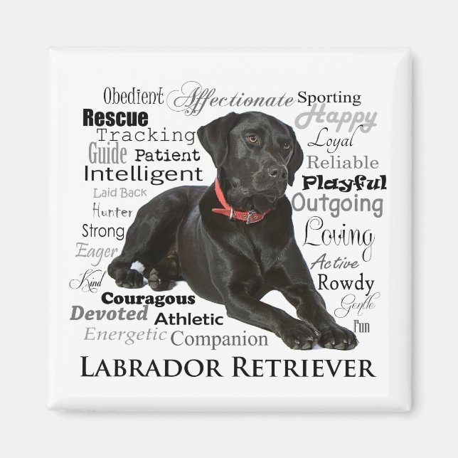 Black Lab Traits Magnet (Front)