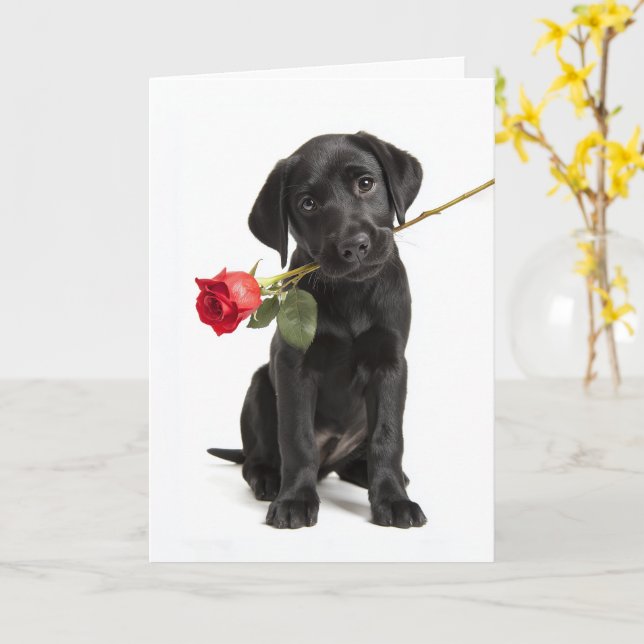 Black Lab Valentine Card (Yellow Flower)