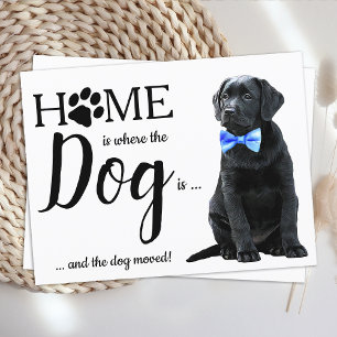 Black Lab We've Moved Dog Moving Announcement Postcard