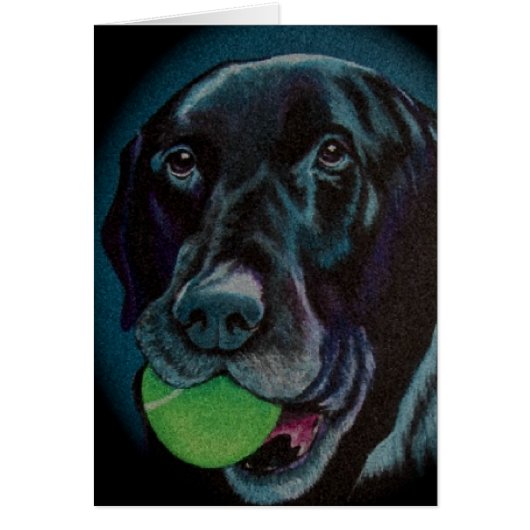 black lab with tennis ball cards (Front)