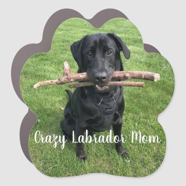 Black Lab with two sticks Dog Mom Car Magnet (Front)