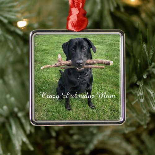 Black Lab with two sticks Dog Mom Personalized Metal Ornament