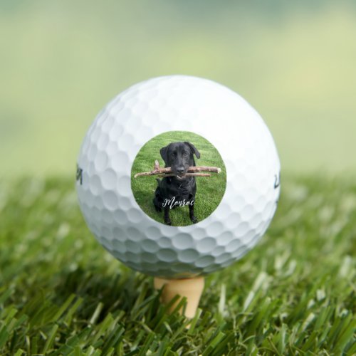 Black Lab with two sticks Dog Personalized  Golf Balls