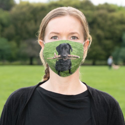 Black Lab with two sticks Dog Photo Adult Cloth Face Mask