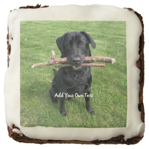 Black Lab with two sticks Dog Photo and Name Brownie