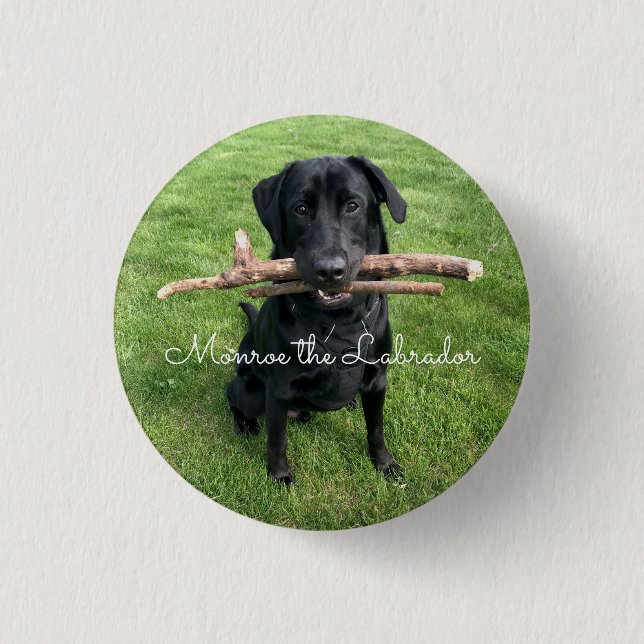 Black Lab with two sticks Dog Photo and Name Button (Front)