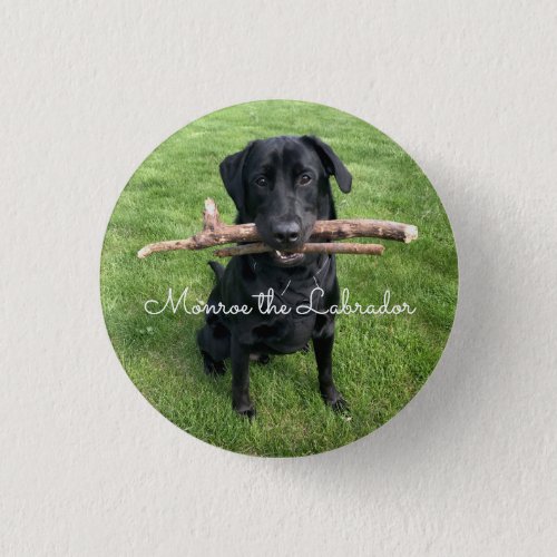 Black Lab with two sticks Dog Photo and Name Button