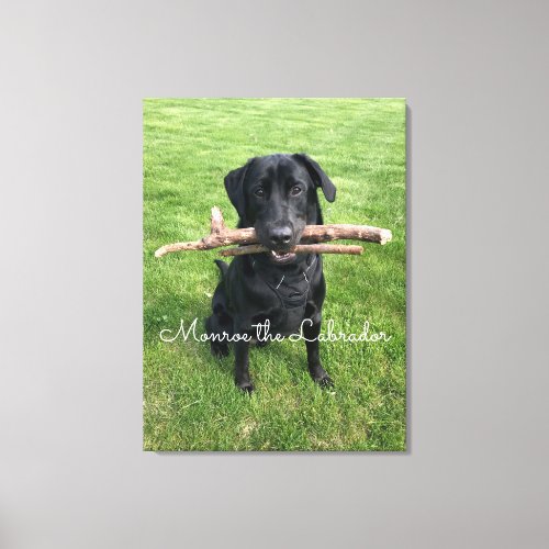 Black Lab with two sticks Dog Photo and Name Canvas Print