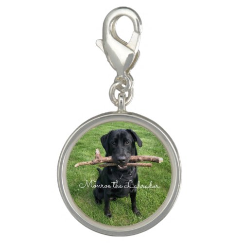 Black Lab with two sticks Dog Photo and Name Charm