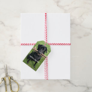 Black Lab with two sticks Dog Photo and Name  Gift Tags