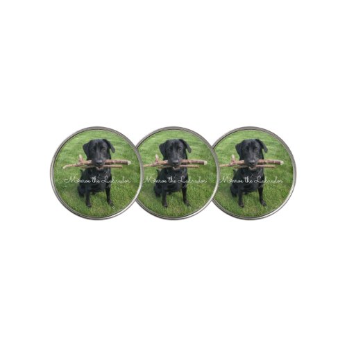 Black Lab with two sticks Dog Photo and Name Golf Ball Marker