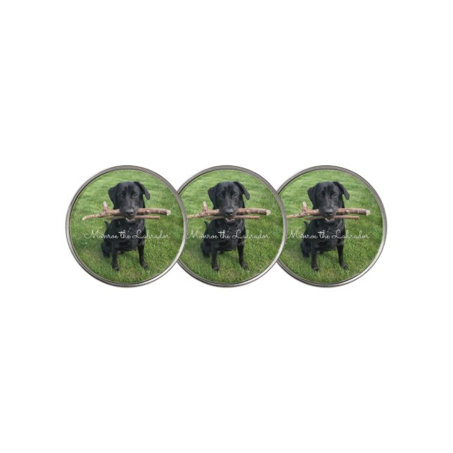 Black Lab with two sticks Dog Photo and Name Golf Ball Marker (3 Up)