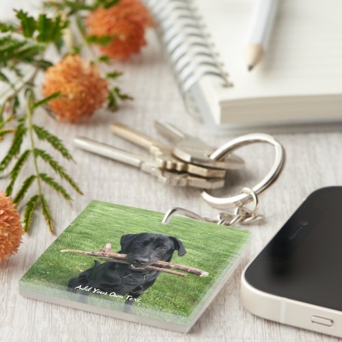 Black Lab with two sticks Dog Photo and Name Keychain