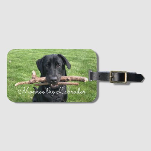 Black Lab with two sticks Dog Photo and Name Luggage Tag
