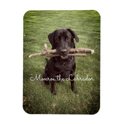 Black Lab with two sticks Dog Photo and Name Magnet
