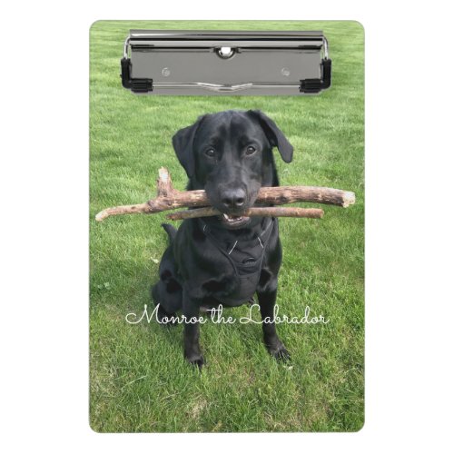 Black Lab with two sticks Dog Photo and Name Mini Clipboard