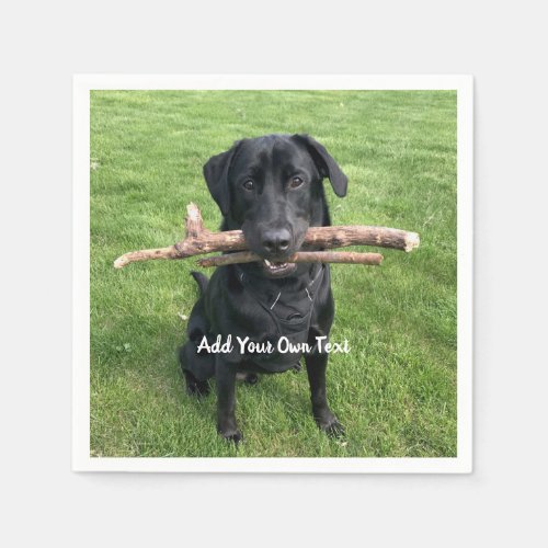 Black Lab with two sticks Dog Photo and Name Napkins