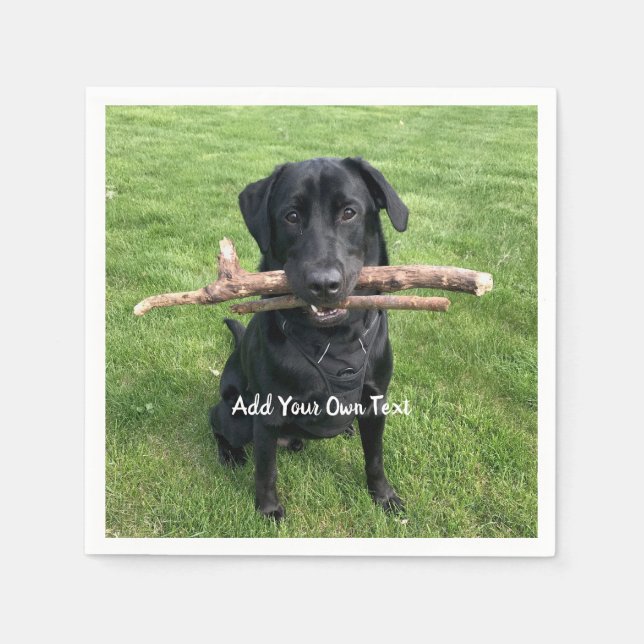 Black Lab with two sticks Dog Photo and Name Napkins (Front)