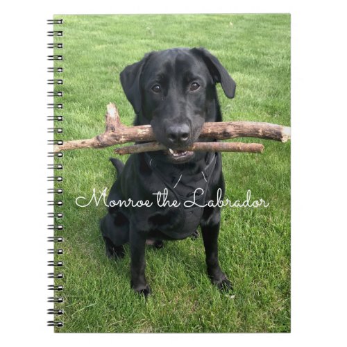 Black Lab with two sticks Dog Photo and Name Notebook