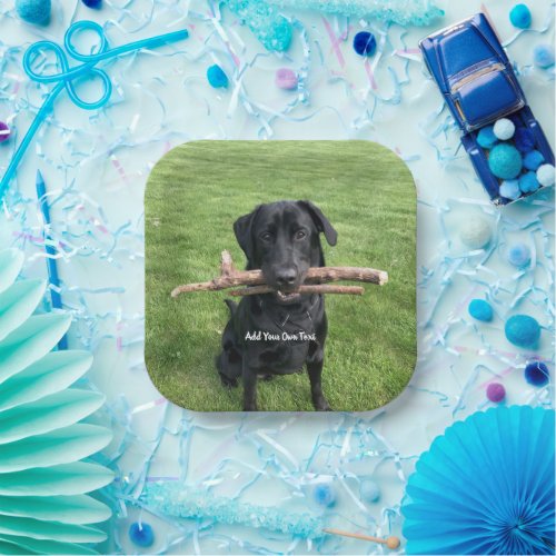 Black Lab with two sticks Dog Photo and Name Paper Plates