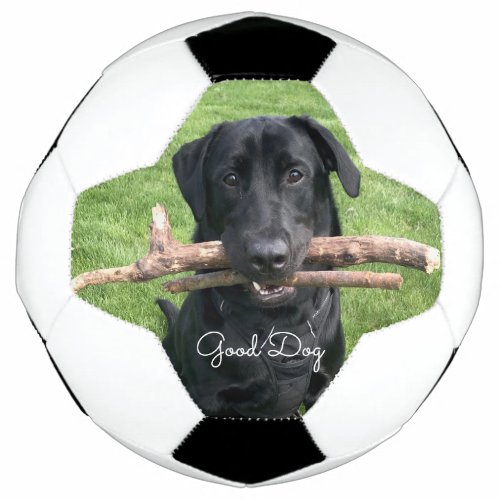 Black Lab with two sticks Dog Photo and Name Soccer Ball