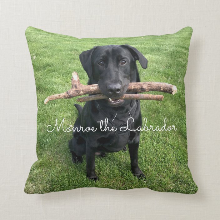 black lab pillow