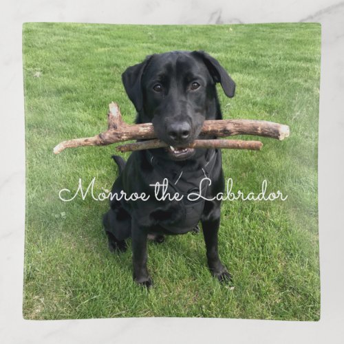 Black Lab with two sticks Dog Photo and Name Trinket Tray