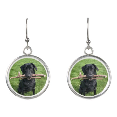 Black Lab with two sticks Dog Photo Earrings